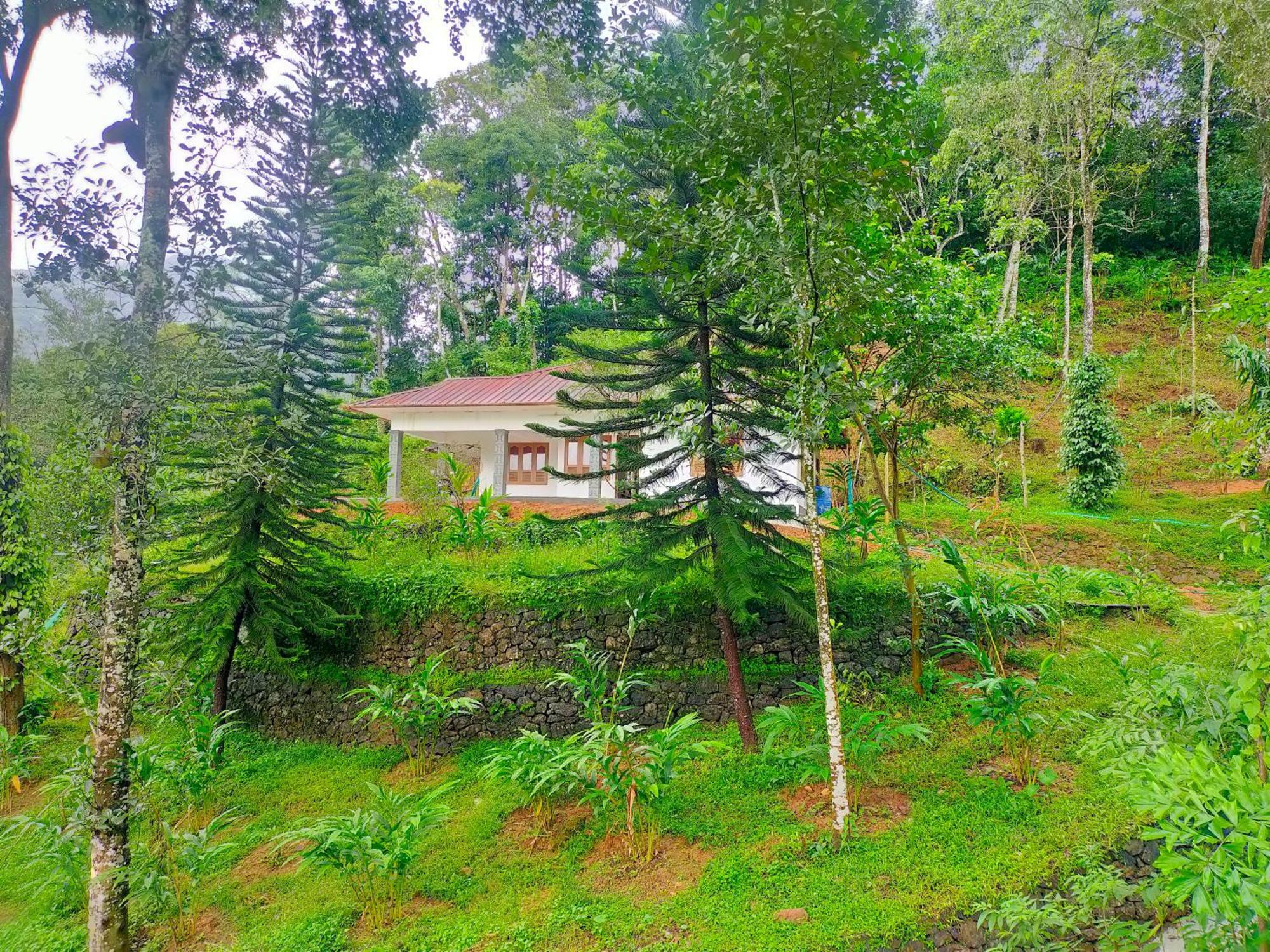 Anivilla Holiday Home Kunjithanny Anachal Zewnętrze zdjęcie
