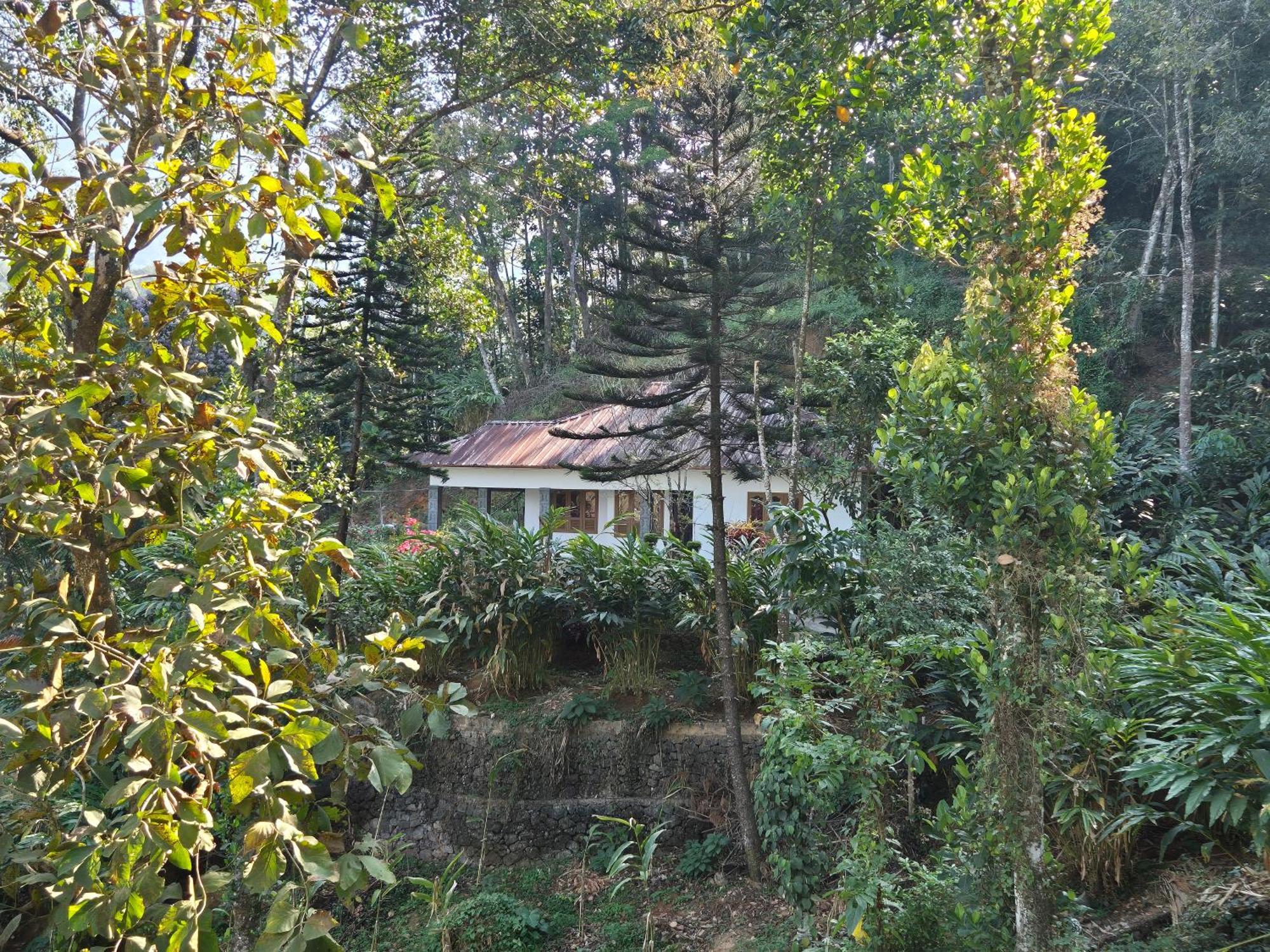 Anivilla Holiday Home Kunjithanny Anachal Zewnętrze zdjęcie